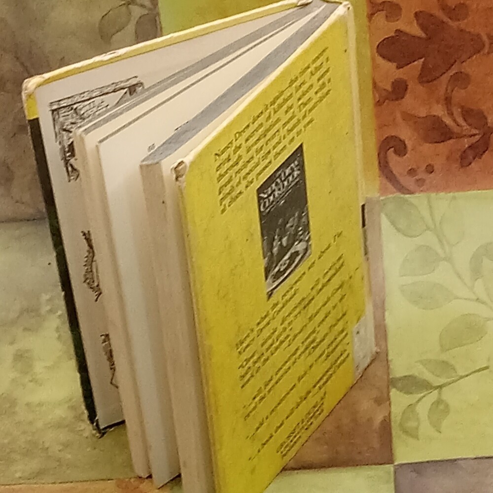 NANCY DREW Yellow Book #28 The Clue Of The Black Keys LIBRARY Rough Condition - Picture 2 of 15